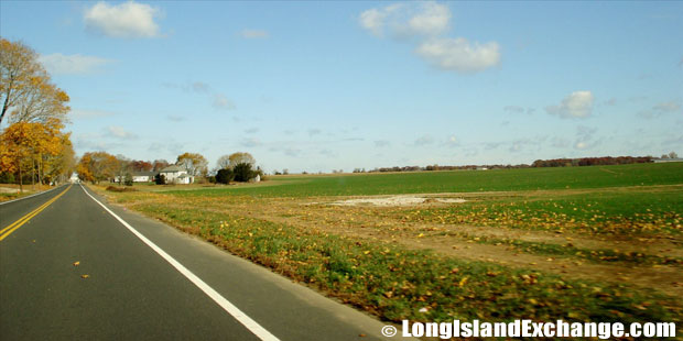 Aquebogue Farmland