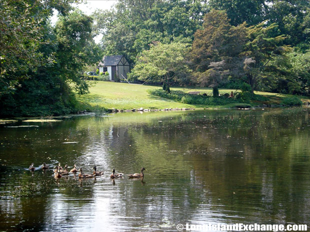 Blue Point Duck Pond