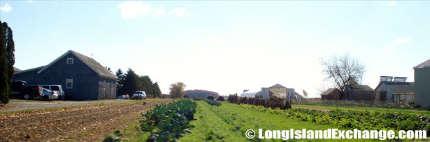 Laurel Farmland