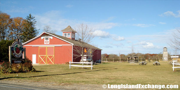 Mattituck Harbes Farm North