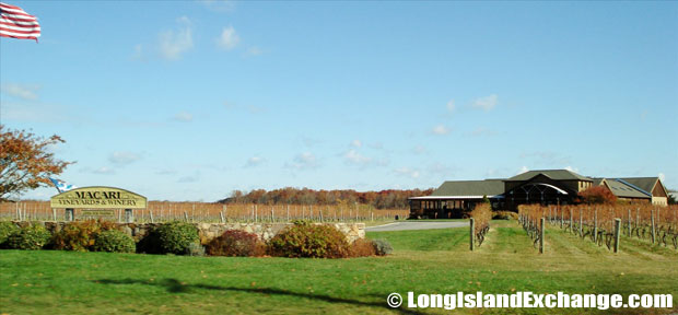 Mattituck Macari Vineyards