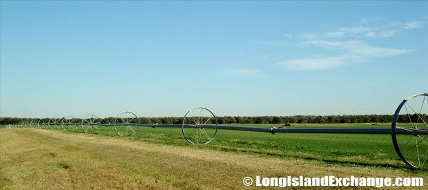 Northampton Farmland