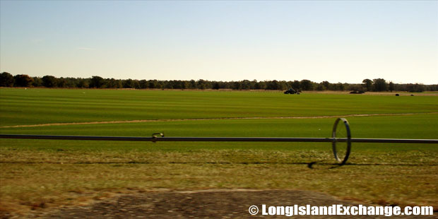 Northampton Farmland