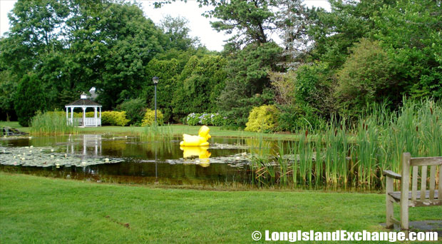 Quogue Duck Pond