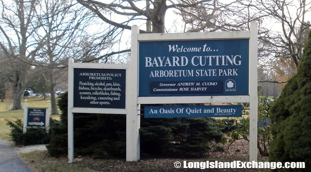 Bayard Cutting Arboretum.