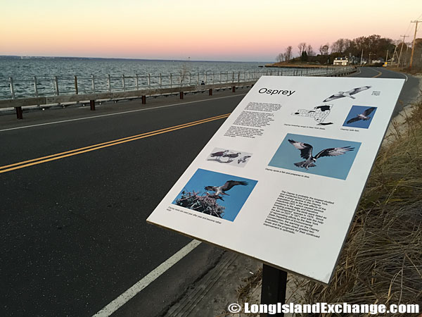 Osprey Sign