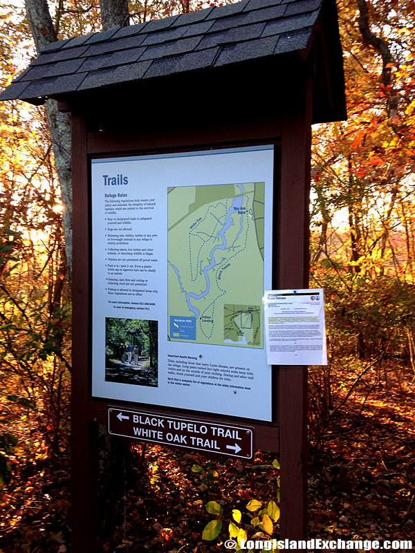 Wertheim National Wildlife Refuge