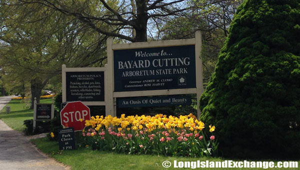 Bayard_Cutting_Arboretum2