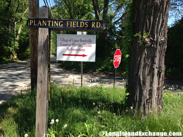 Arboretum on Planting Fields Road