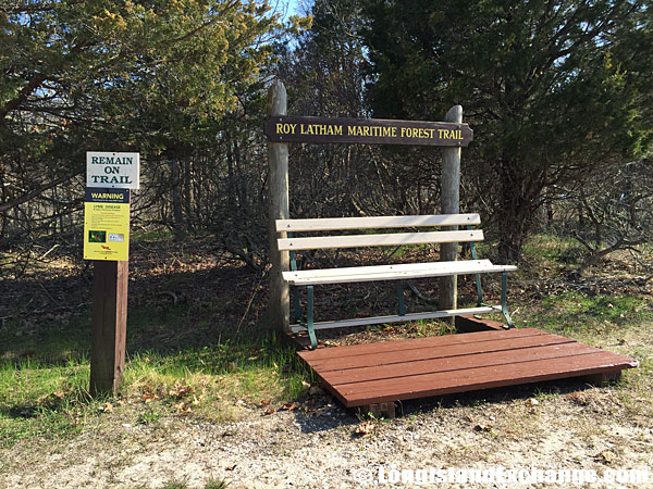 Roy Latham Maritime Forest Trail