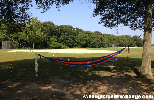 Park Hammocks