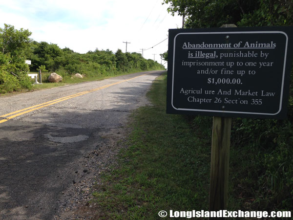 Animal Abandonment Sign