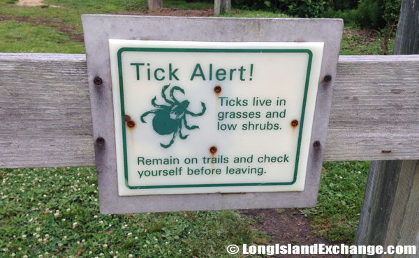 Ticks