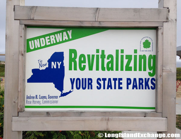 Revitalize New York