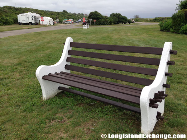 Bench on Lawn