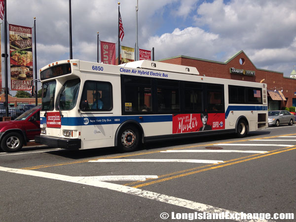 Bay Terrace Buses