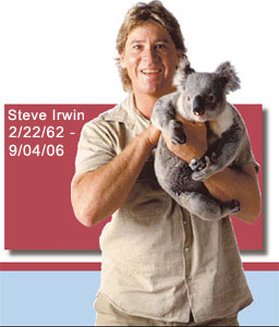 SteveIrwin