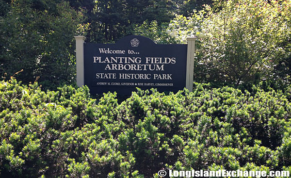 Planting Fields Arboretum