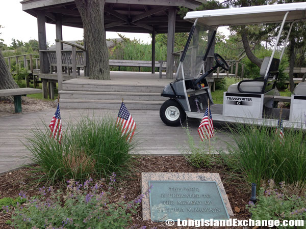 Patricia M Brodkin Memorial